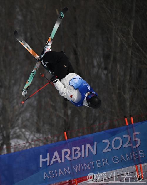 自由式滑雪世锦赛男子U型场地巅峰对决 自由式滑雪世锦赛男子U型场地巅峰对决